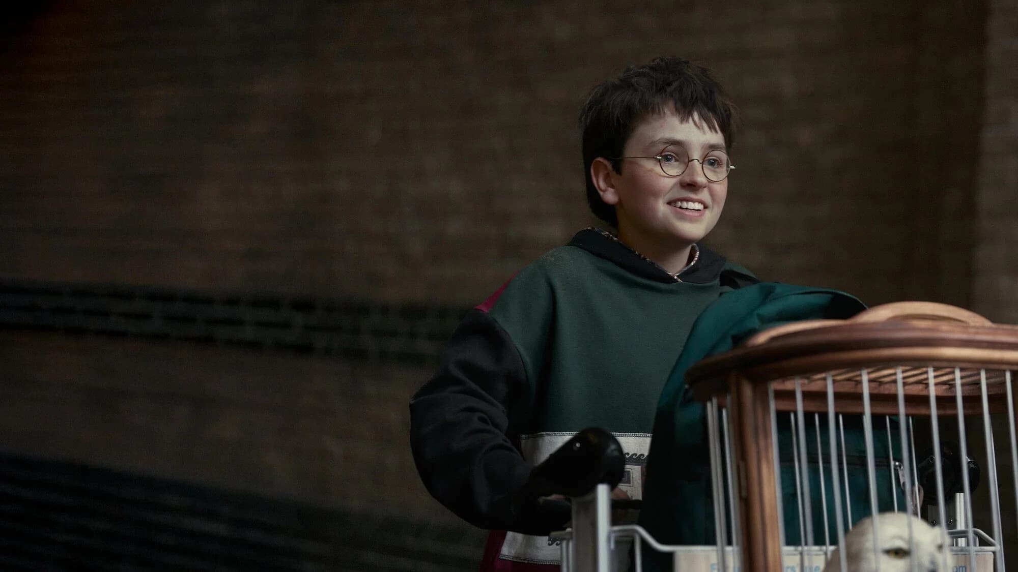 Harry Potter : Dobby, Ginny et Tom Riddle ont leurs interprètes pour la saison 2